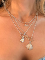 Bezeled Sea shell