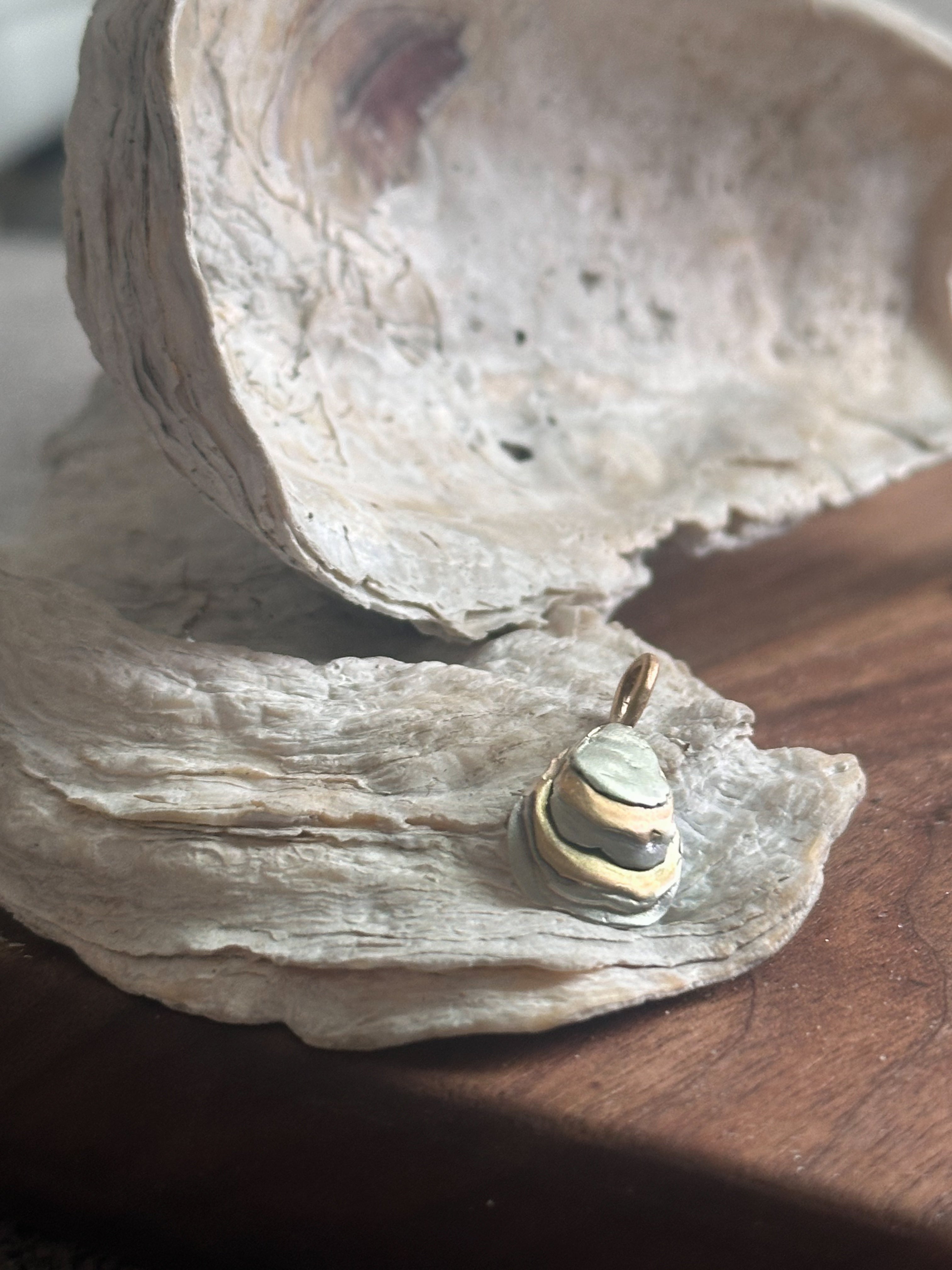 Mixed Metal |10k Gold + Silver Brackish Oyster