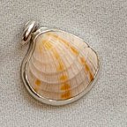 Bezeled Sea shell