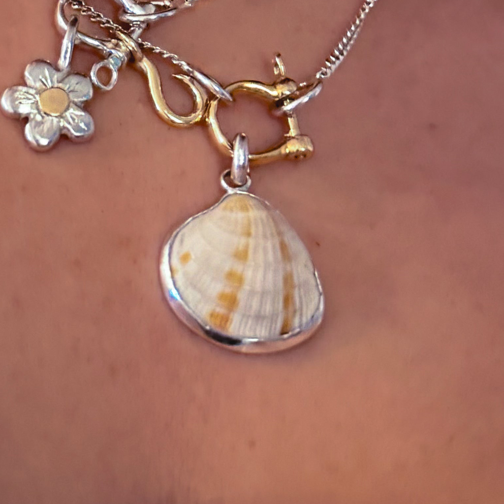 Bezeled Sea shell