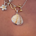 Bezeled Sea shell