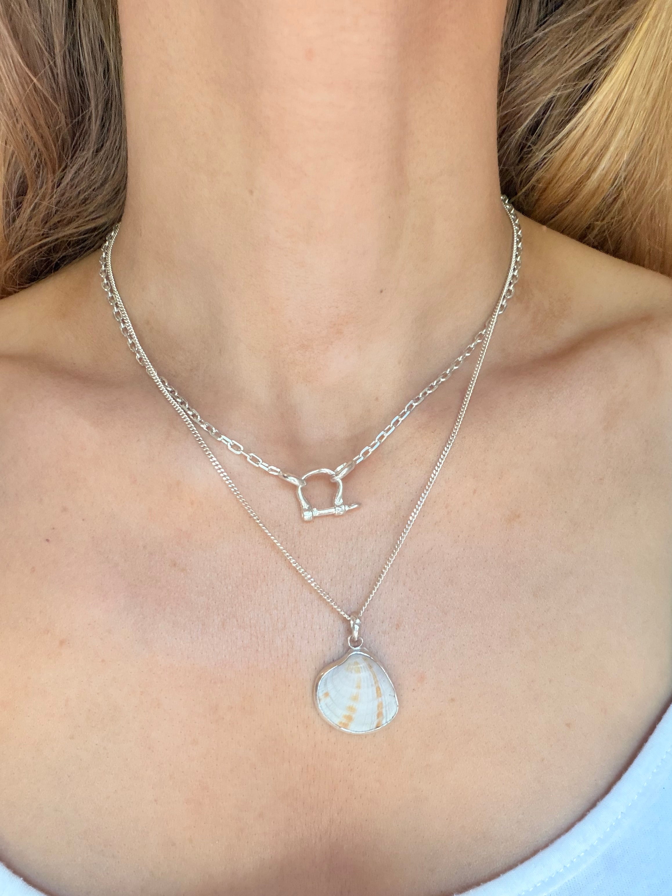 Bezeled Sea shell