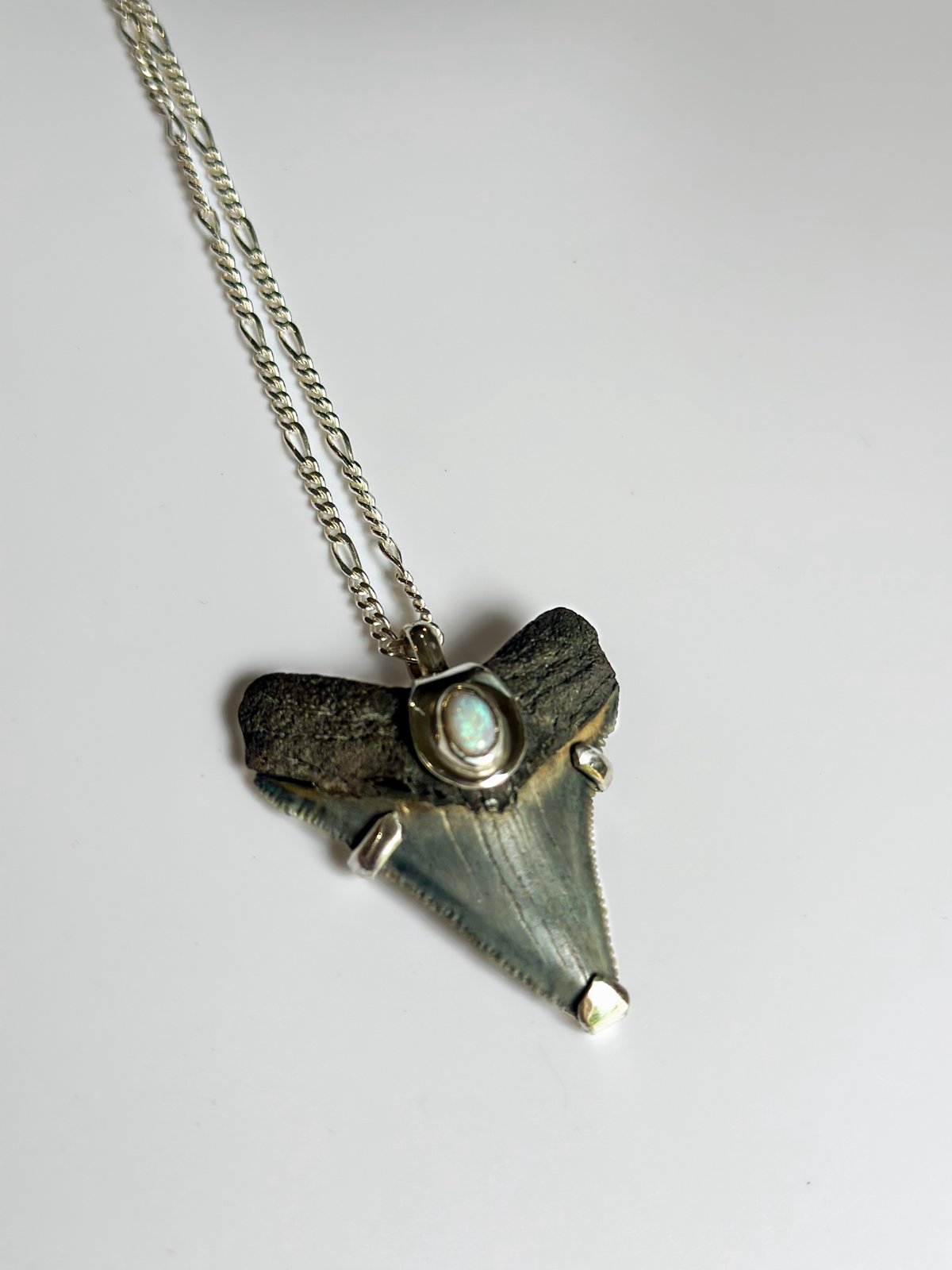 Megalodon Pendant with Australian Opal 