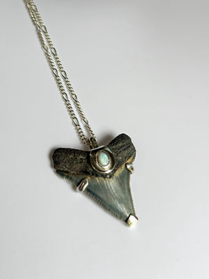 Megalodon Pendant with Australian Opal 