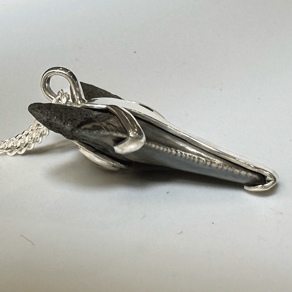 Megalodon Pendant with Australian Opal 