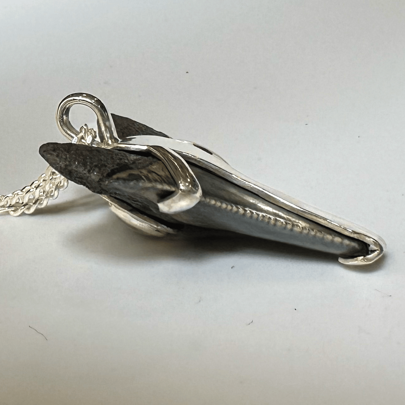 Megalodon Pendant with Australian Opal 