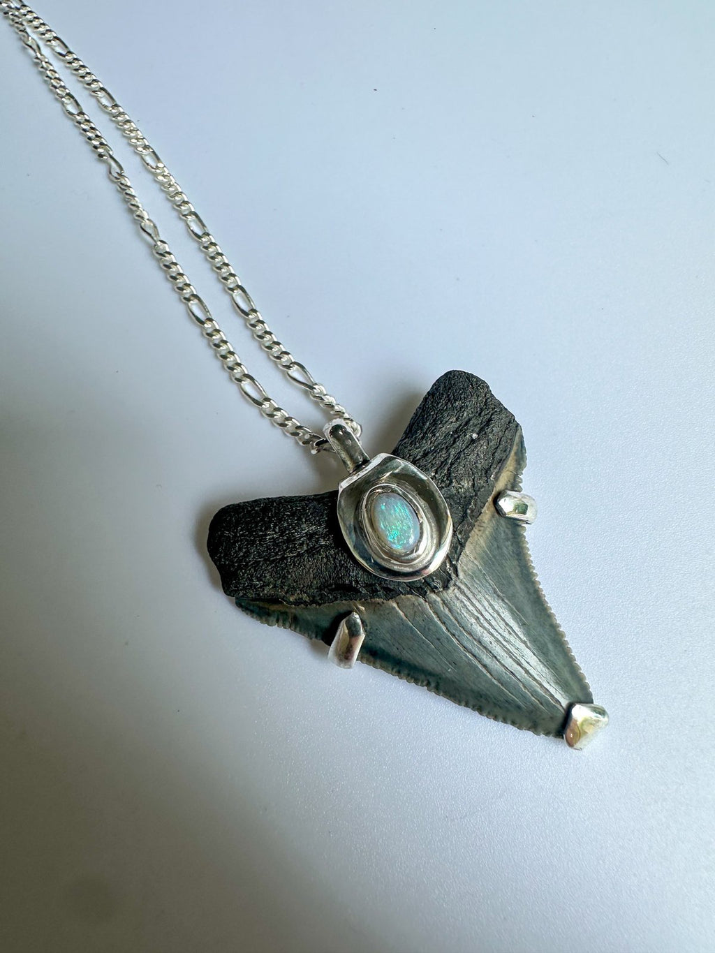Megalodon Pendant with Australian Opal 