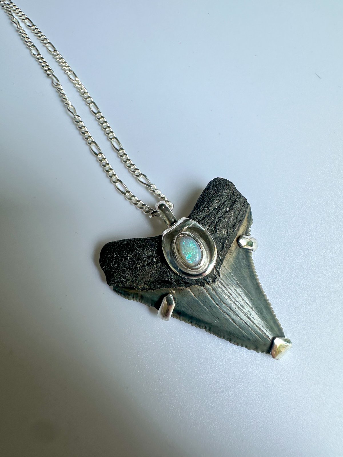 Megalodon Pendant with Australian Opal 