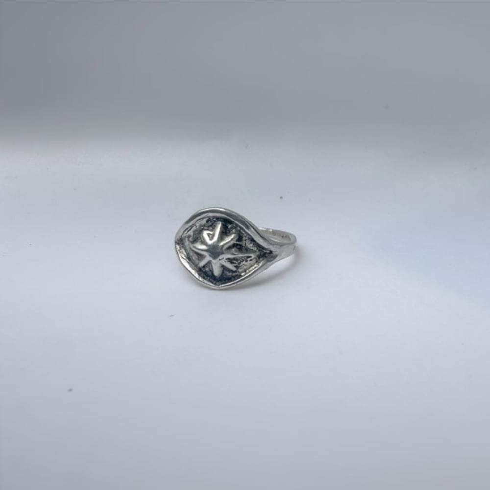 Starry Eyed Signet-ish