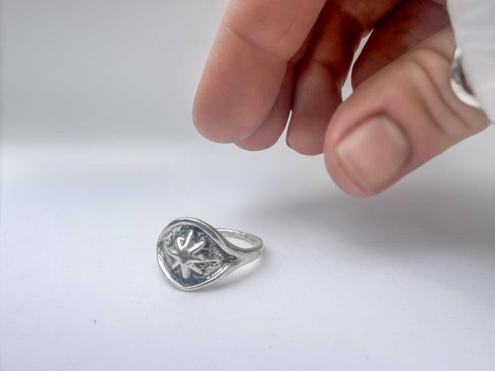 Starry Eyed Signet-ish